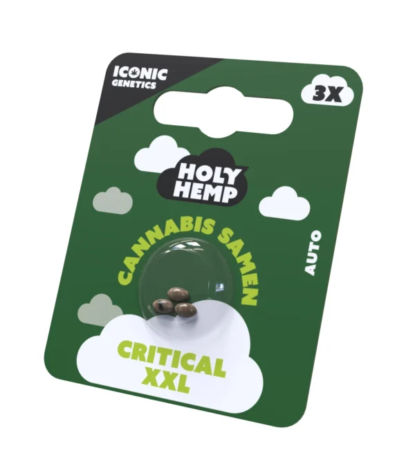 Crtical XXL Cannabissamen Frontansicht