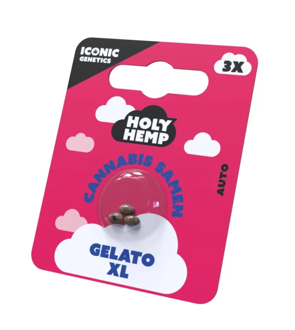 Gelato XL Cannabissamen Frontansicht