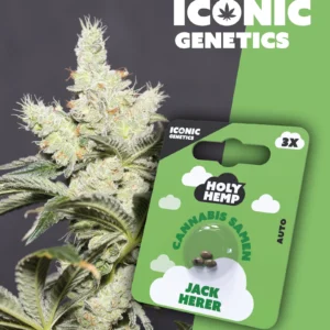 Jack Herer Iconic Genetics