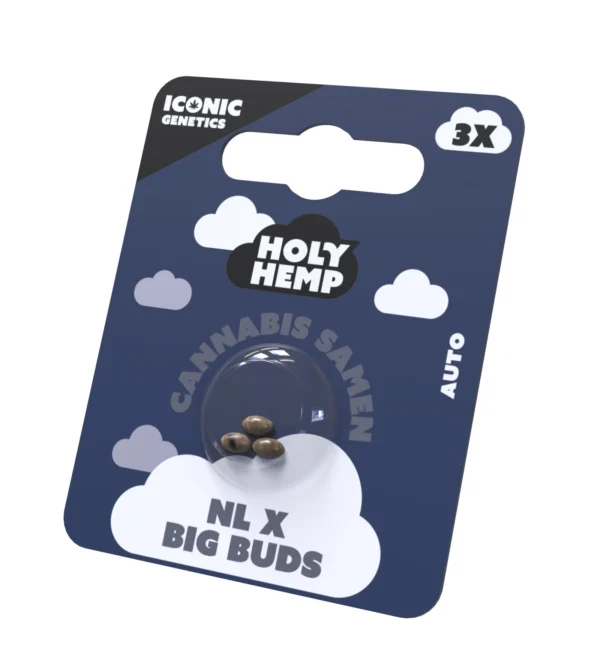 NL x Big Buds Cannabissamen Frontansicht