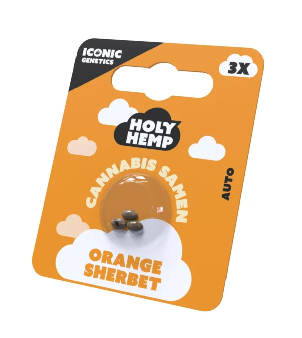 Orange Sherbet Cannabissamen Frontansicht