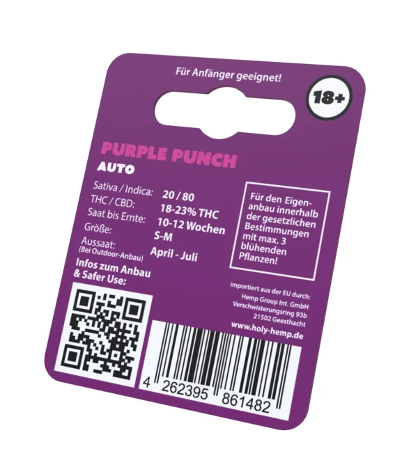 Purple Punch Cannabissamen Ruckseitenansicht