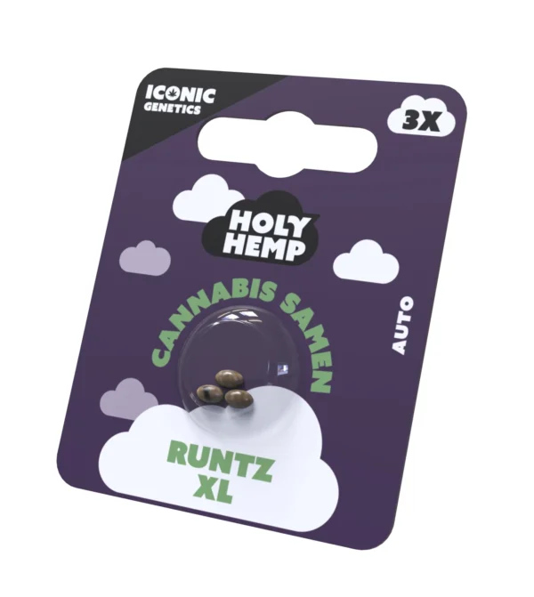 Runtz XL Cannabissamen Frontansicht