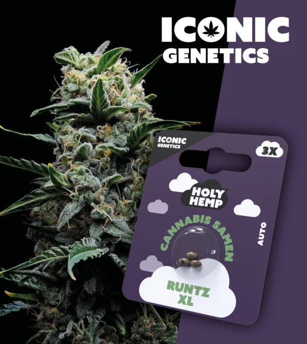 Runtz XL Iconic Genetics
