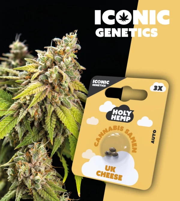 UK Cheese Iconic Genetics